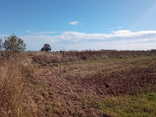 Proc. Simplificado. Polígono 3 Parcela