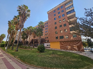 Doñana
