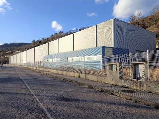 Cuadriella,La