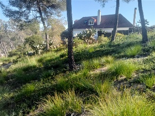 Constel·Lacio De La