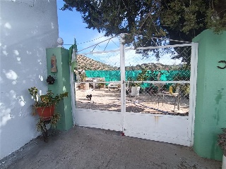 Proc. Simplificado