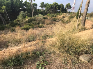 Calle B Cerdera Alta