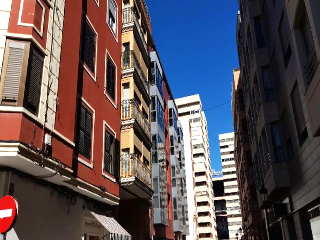 Pintor Ricardo Verde