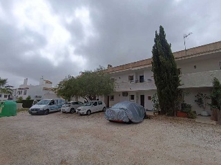 V Martin Palomos