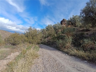 Gamonal. Huercal-Ugíjar