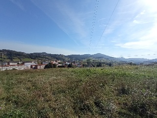 Camino de la Luz
