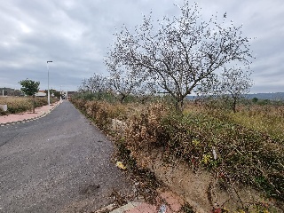 Alio