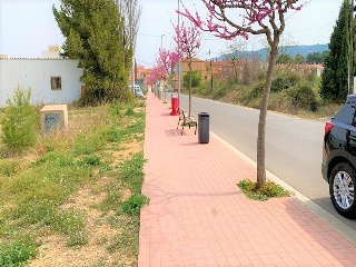 Poligono 44