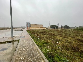 Camino De Las Lobas