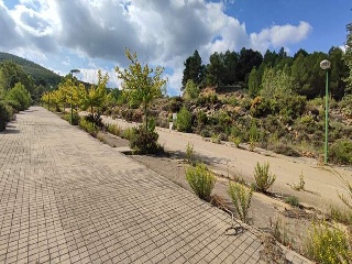 Sector El Belengueron