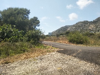 Polígono 5