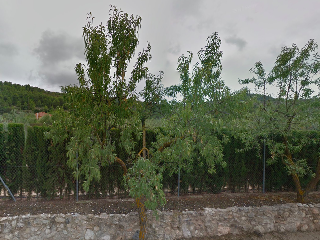 Figueral, Del