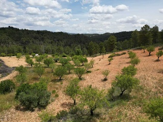 Vallejo De La Tia Casta