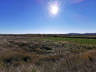 POLIGONO 46, PARTIDA GALLIPONT