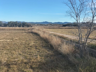 TURBAÑEZ. Polígono 162 Parcela