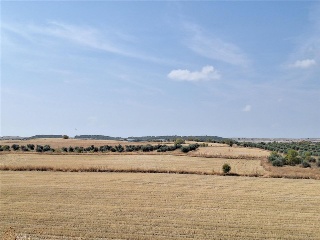 M.6 RC PROY REPARCEL AA.7