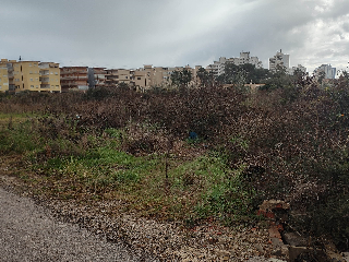 MARENYS 17. Polígono 14 - Parcela