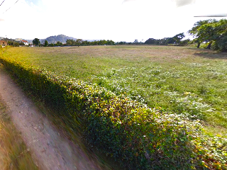 DE LA CUESTINA-VEGA 90 Polígono 99 Parcela