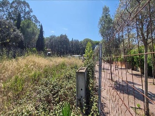 CAN SALGUES II, PARATGE