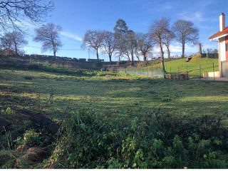 CIUDAD JARDIN-COLLOTO, Polígono 17 Parcela