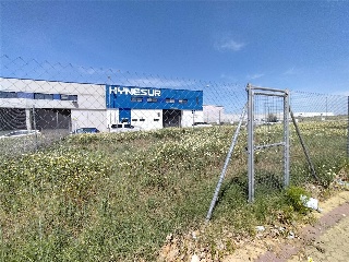 CL LOS PALILLOS DIECISEIS