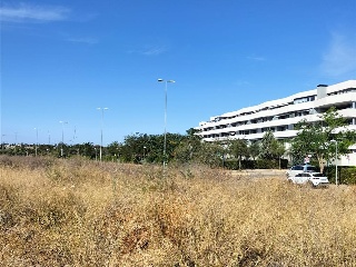 Carretera de Palomares