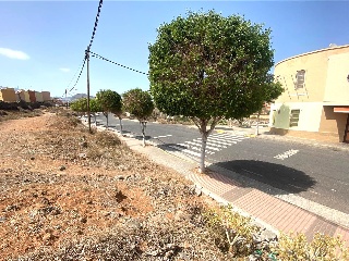 TIRMA. Polígono 8 Parcela