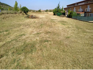 TN POLIGONO-010 357 . LA BARRILLA