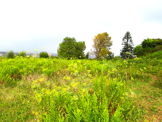 de la Coria a Santurio. Polígono 100 Parcela