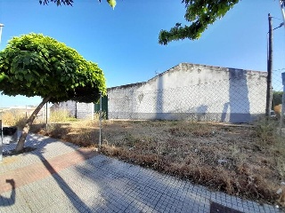 CM VIEJO DE MIRANDILLA