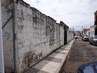 CARMONITA