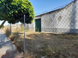 Camino Viejo de Mirandilla