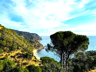 ROSAMAR (PARCELAS 104, 139, 140, 352, 354 Y 355)