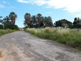 SUNP-3 DEL PLAN PARCIAL BENICASSIM GOLF. POLIGONO 8