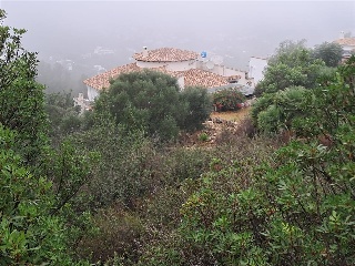 MONTE PEGO-BENIMELI