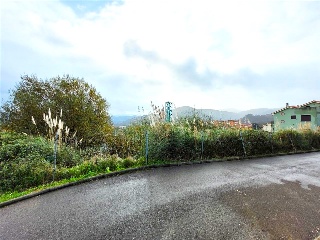 EL PEDROUZO, FINCA DEL QUINTANAL