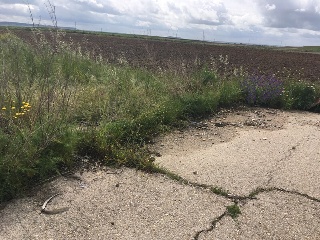 DE SANTA JUANA (POLIGONO 5, PARCELA 50, S-14)