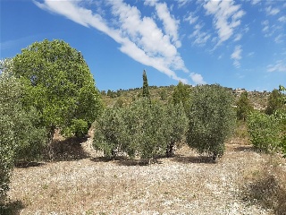 LES ALQUERIES 7 PARTIDA.NUMERO 6 Polígono 6 Parcela