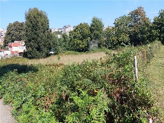 PONTILLON (POLIGONO 74)