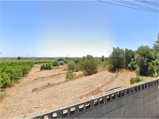 Diseminado - Polígono 36