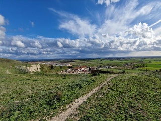 LOS BORRICALES, SECTOR Nº11, POLÍGONO, 3