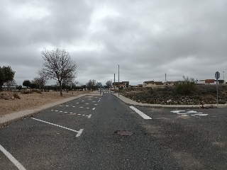 EL GALLITO