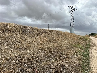 PE OLIVAR DEL CONVENTO