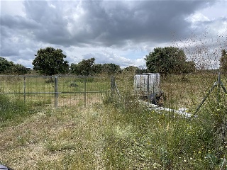 Polígono 95 Parcela 67