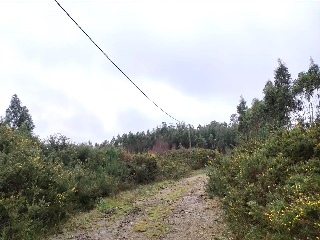 16. Parcela