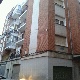 HAYA-10044246