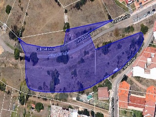 Zorrilla