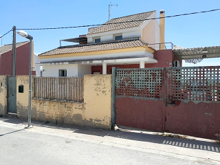 Los Girasoles