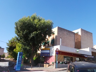 POETA VILLAESPESA