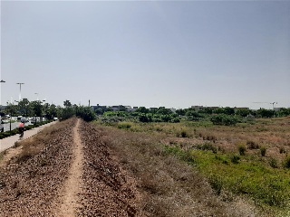 PARTIDA COSCOLLOSA, N.S/N, P.SP